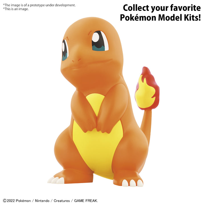 Pokemon Model Kit Quick!! 11 CHARMANDER