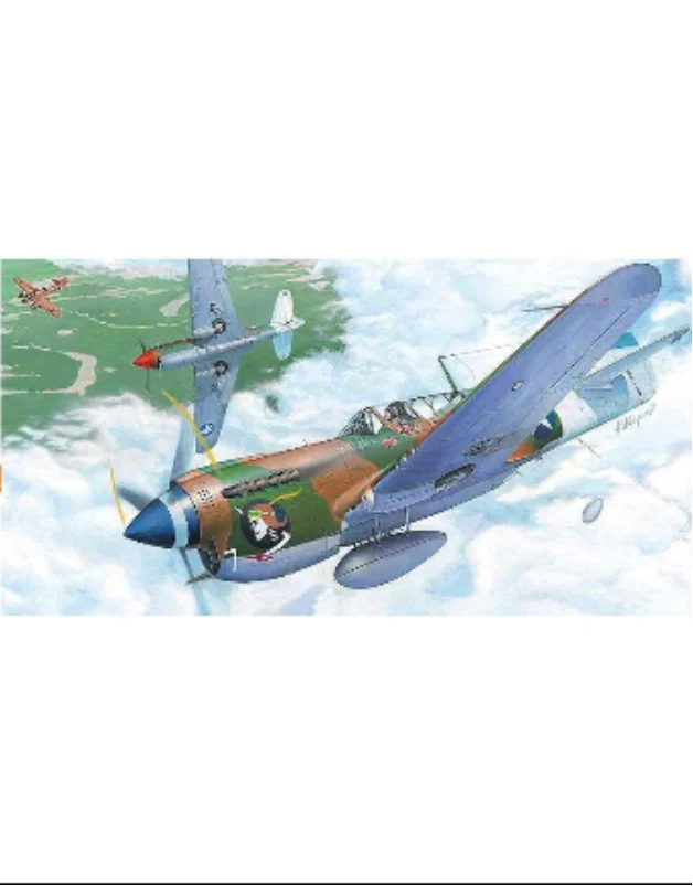 Hasegawa 1/72 P-40N Warhawk *Aus Decals*