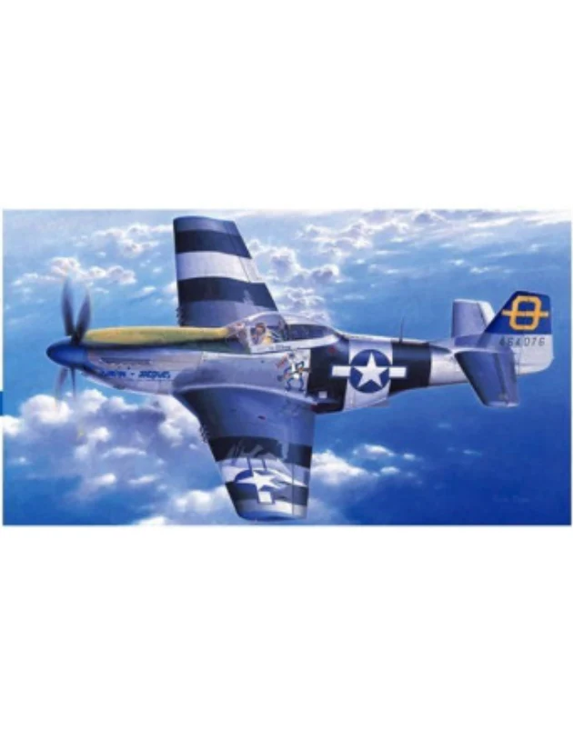 Hasegawa 1/72 P-51D Mustang *Aus Decals*