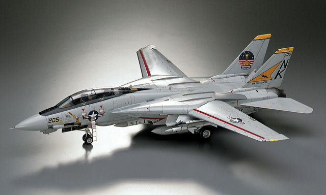 Hasegawa 1/48 F-14A Tomcat